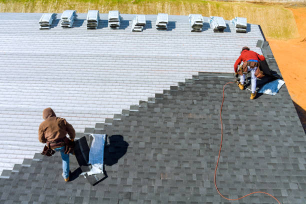 Best Roof Gutter Cleaning  in Vandergrift, PA